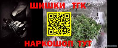 прущие грибы Кандалакша