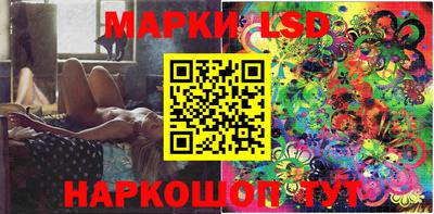 прущие грибы Кандалакша