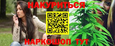 прущие грибы Кандалакша