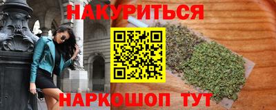 прущие грибы Кандалакша